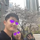 신축호랑이사 네이버블로그