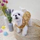 햇님경로당 이미지