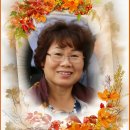 개인(강정숙) Daum카페