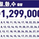 플라워뉴