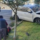 “급발진” 주장했지만…14명 사상 낸 60대, 사고 직전까지 ‘가속페달’ 밟았다 이미지