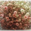 바다그린 이미지