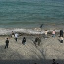 바다 어울림 이미지