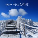 에델바이스화원 이미지