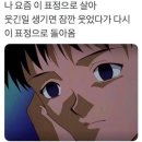 델타주짓수 | [주린이일상편] 델타주짓수 체육관 거울지박령