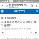 아이구 쏘가리가 양식성공했다고 합니다 이미지