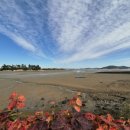 압해보건지소 이미지