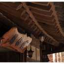 차밭공원 Daum카페