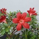 홍의인농장 이미지