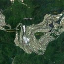 소피아그린 이미지