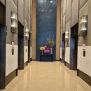 밀레니엄1 | [방콕 여행] 밀레니엄 힐튼 방콕 (Millennium Hilton Bangkok) 1탄 - 호텔 이용 후기