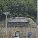 도깨비 영월메밀전병