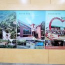 대자연축산물 네이버블로그