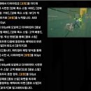 다이아린 이미지