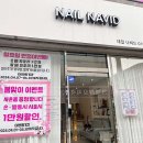 네일나비드
