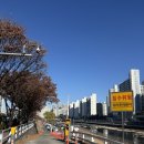 강남대로8길 40-61 | 대구 하루 소확행 | 따따따, 모카츠, 랜디스도넛, 가챠, 더현대 크리스마스 마켓, 코쿠, 교동면옥, 혜윰