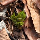 은판나비화장실 이미지