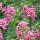오늘더예쁘다 Daum카페
