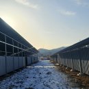 대신 태양광발전소 이미지