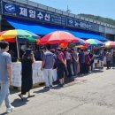 오징어 풍어에 깜짝.. 충남 태안 &#39;신진항&#39;에 몰린 소비자들 이미지