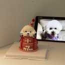 포유댕 네이버블로그