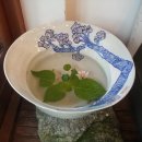 단국대 진입로 이미지