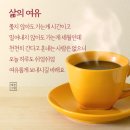 여유 Daum카페