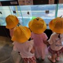 멍멍친구 애견샵 이미지