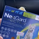 건강샘온누리약국 이미지