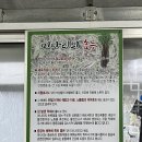 안항사미나리