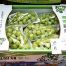 영신청과 이미지