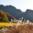 펜션 강가애 이미지