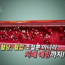 [이런 법이 어딨어, 시래기] 영양 만점 웰빙 식품, 시래기! 식이섬유, 비타민 외에도 풍부한 영양소 가득! 혈당,... 이미지