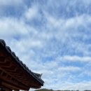 농월정오토캠핑장 이미지