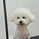 가드기멍 이미지