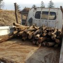 주혁농장 이미지