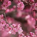 패션1번지 이미지