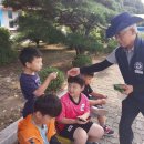 원천초등학교병설유치원 이미지