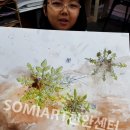 아름초등학교앞 이미지