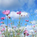 추동농장 이미지