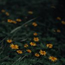 킹덤치과의원 네이버블로그