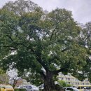 황오동행정복지센터-1 이미지