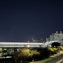 생활 속의 손건강 요법 | 고지혈증 약 복용 기준