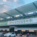 상록청과