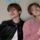 시온 이미지