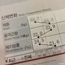 셀포랩반달뷰티 | 수원역 다이어트 : 체지방률 3% 폭락한 화서동 셀포랩 반달뷰티 후기