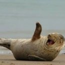 요가MOON 이미지