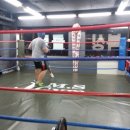 다윗복싱클럽 이미지