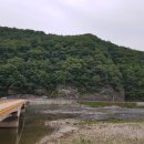 재교농장 Daum카페