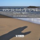 바다1번지